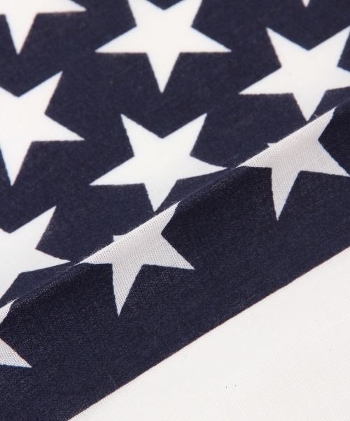 Ray BEAMS（レイビームス）の「The Bandanna Company / マルチプリント バンダナ（バンダナ/スカーフ・レディース・その他2/その他5/その他6/その他10/その他11/その他7/その他8/その他9/その他3/その他4・ONE SIZE）」の14枚目の写真