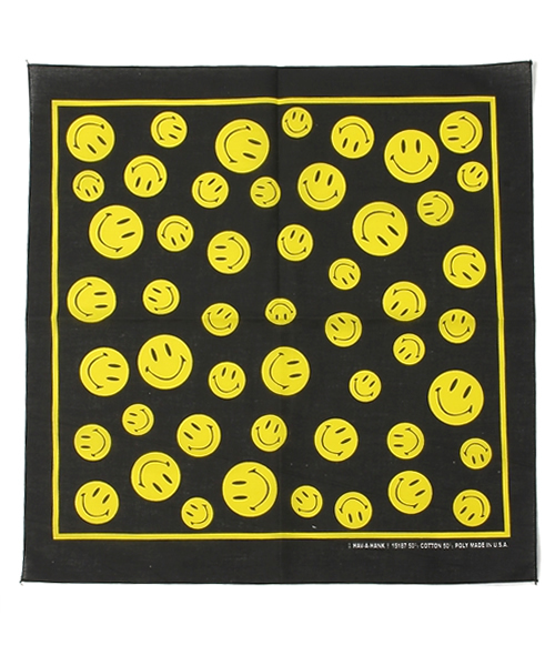 Ray BEAMS（レイビームス）の「The Bandanna Company / マルチプリント バンダナ（バンダナ/スカーフ・レディース・その他2/その他5/その他6/その他10/その他11/その他7/その他8/その他9/その他3/その他4・ONE SIZE）」の2枚目の写真