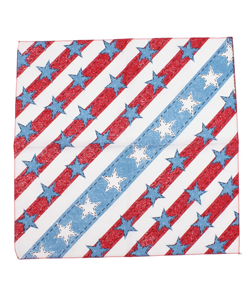 Ray BEAMS（レイビームス）の「The Bandanna Company / マルチプリント バンダナ（バンダナ/スカーフ・レディース・その他2/その他5/その他6/その他10/その他11/その他7/その他8/その他9/その他3/その他4・ONE SIZE）」の6枚目の写真