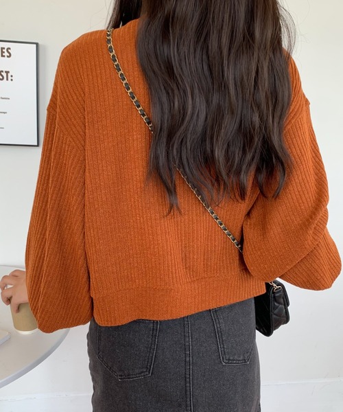 ABITOKYO（アビトーキョー）の「2022AW　ボリュウームスリーブVネックリブトップス（Tシャツ/カットソー・レディース・ホワイト/ブラック/ブラウン/モカ・FREE）」の18枚目の写真