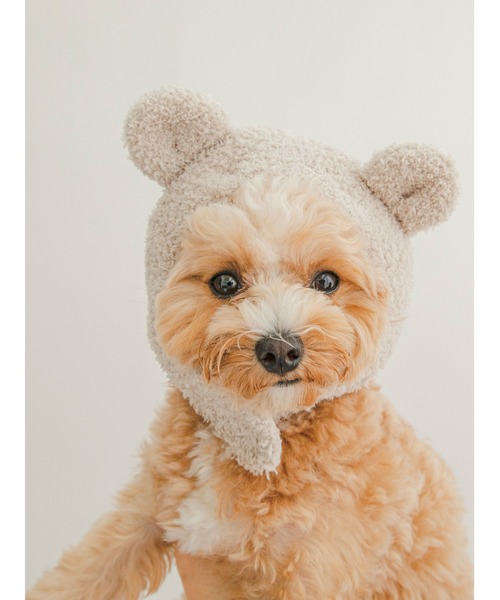 gelato pique(ジェラートピケ)の「【CAT&DOG】【販路限定商品】ベアキャップ(ペットウェア・レディース・ベージュ・LARGE/SMALL/MEDIUM)」の4枚目の写真