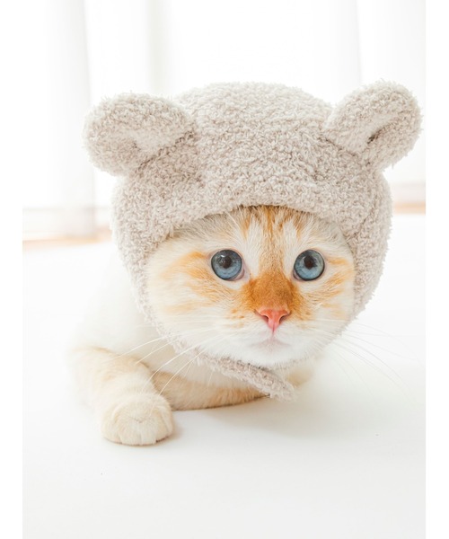gelato pique(ジェラートピケ)の「【CAT&DOG】【販路限定商品】ベアキャップ(ペットウェア・レディース・ベージュ・LARGE/SMALL/MEDIUM)」の8枚目の写真