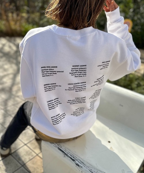 United Athle ジャスミン コットン100ウラケ ロゴスウェット 【PT NO