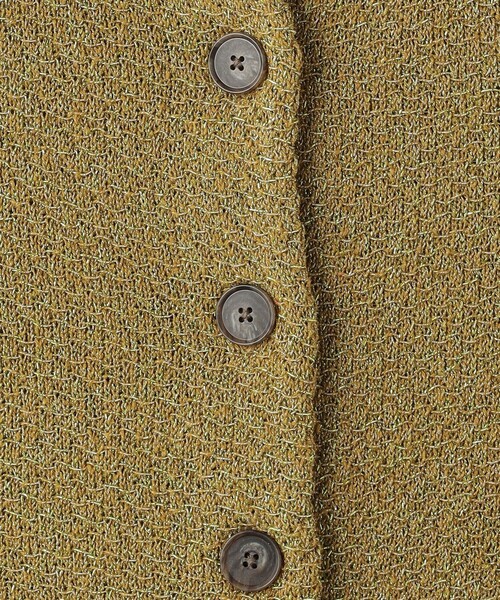 BEAUTY&YOUTH UNITED ARROWS(ビューティーアンドユースユナイテッドアローズ)の「フロントボタン ラメニット ベスト/オリーブ(ベスト・レディース・オリーブ・FREE)」の16枚目の写真