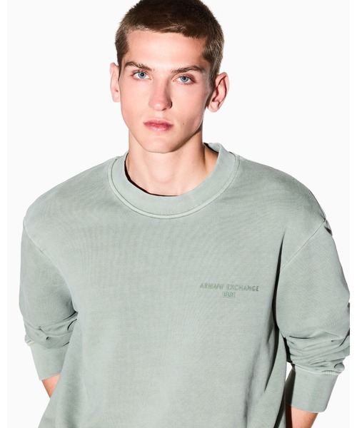 ARMANI EXCHANGE(アルマーニエクスチェンジ)の「【A|X アルマーニ エクスチェンジ】バックロゴ カーボナイズドフレンチテリー プルオーバー(スウェット・メンズ・セージグリーン/ダークネイビー・LARGE/X-SMALL/X-LARGE/SMALL/MEDIUM)」の9枚目の写真