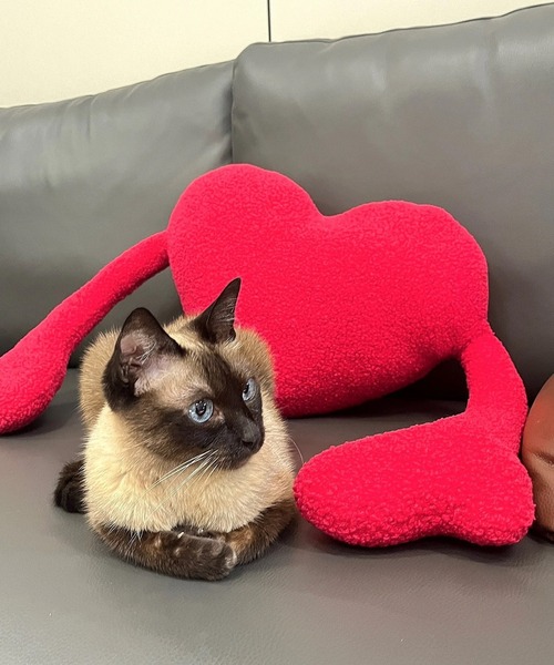 Made in I（メイドインアイ）の「ハートデザイン抱き枕クッション（クッション/クッションカバー・レディース・レッド・FREE）」の14枚目の写真