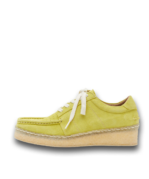 大型 マレーコ−カサス ♂野外標本 大型 マレーコ−カサス ♂野外標本