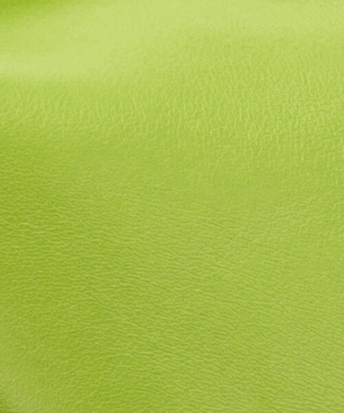 TOMORROWLAND （トゥモローランド）の「【別注】ADVENE AGE special バッグ（ハンドバッグ・レディース・ライトグリーン・FREE）」の12枚目の写真