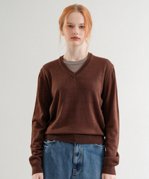 Premium Anti-filling Wool V-neck Basic Knit (Brown)
