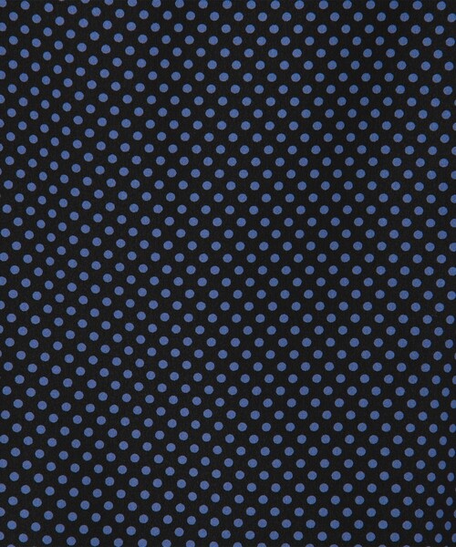 BALLSEY(ボールジィ)の「ドットプリント ボウタイブラウス(シャツ/ブラウス・レディース・ブラウン系その他/ブルー系その他・36)」の11枚目の写真