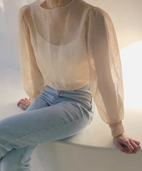 ANOTHER S（アナザーエス）の「バルーンスリーブシアーブラウス（シャツ/ブラウス・レディース・ブラック/ベージュ・FREE）」の10枚目の写真