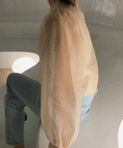 ANOTHER S（アナザーエス）の「バルーンスリーブシアーブラウス（シャツ/ブラウス・レディース・ブラック/ベージュ・FREE）」の5枚目の写真