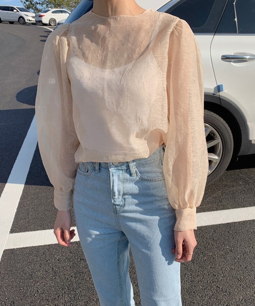 ANOTHER S（アナザーエス）の「バルーンスリーブシアーブラウス（シャツ/ブラウス・レディース・ブラック/ベージュ・FREE）」の12枚目の写真