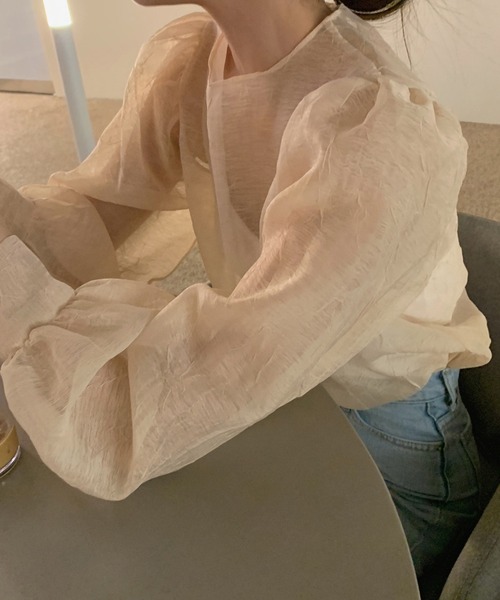 ANOTHER S（アナザーエス）の「バルーンスリーブシアーブラウス（シャツ/ブラウス・レディース・ブラック/ベージュ・FREE）」の9枚目の写真