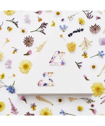 ANEVER | 【平手友梨奈さん着用】TRIANGLE HOOP イヤリング(イヤリング)