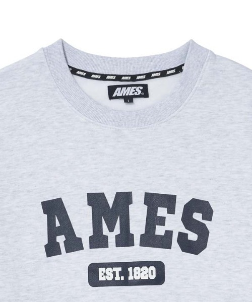 AMESWORLDWIDE（アメスワールドワイド）の「【AMESWORLDWIDE 】オーセンティック ロゴスウェットシャツ / AUTHENTIC LOGO SWEATSHIRTS（スウェット・レディース・ネイビー/グレー・MEDIUM/LARGE）」の13枚目の写真