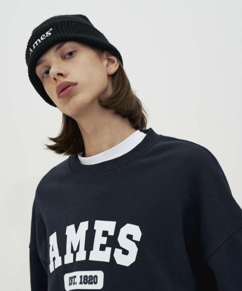 AMESWORLDWIDE（アメスワールドワイド）の「【AMESWORLDWIDE 】オーセンティック ロゴスウェットシャツ / AUTHENTIC LOGO SWEATSHIRTS（スウェット・レディース・ネイビー/グレー・MEDIUM/LARGE）」の10枚目の写真