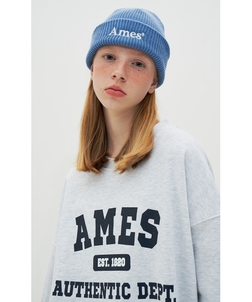 AMESWORLDWIDE（アメスワールドワイド）の「【AMESWORLDWIDE 】オーセンティック ロゴスウェットシャツ / AUTHENTIC LOGO SWEATSHIRTS（スウェット・レディース・ネイビー/グレー・MEDIUM/LARGE）」の15枚目の写真