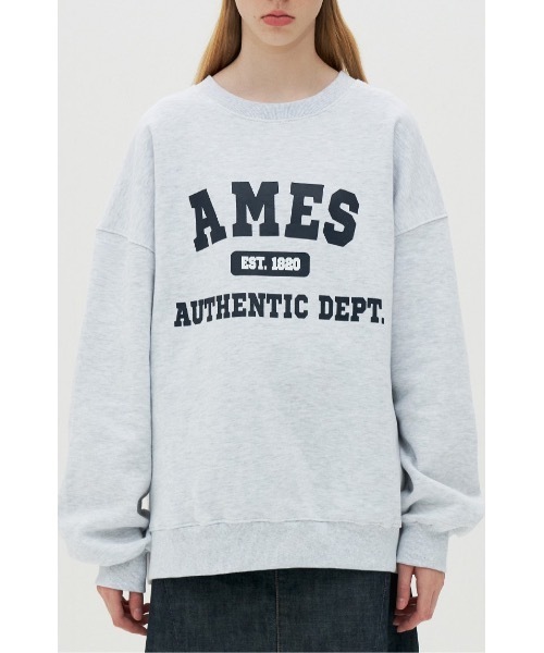 AMESWORLDWIDE（アメスワールドワイド）の「【AMESWORLDWIDE 】オーセンティック ロゴスウェットシャツ / AUTHENTIC LOGO SWEATSHIRTS（スウェット・レディース・ネイビー/グレー・MEDIUM/LARGE）」の19枚目の写真