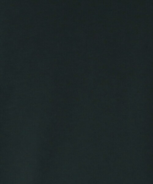 THE SHOP TK (ザ ショップ ティーケー )の「◆【1枚でサマになる人気シリーズ/新色追加】ポンチキーネックロンT(Tシャツ/カットソー・メンズ・ベージュ/オフホワイト/ダークパープル/モスグリーン/ブルー系その他・04/03/02)」の14枚目の写真