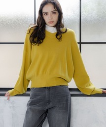 LAKOLE | 12ゲージ/Vネックニットプルオーバー / 989153(ニット/セーター)