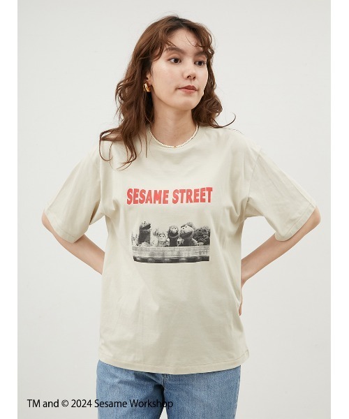 Mila Owen ミラオーエン　カットソー　白　1 セール】コットン100％クルーネックシアーロンT（Tシャツ