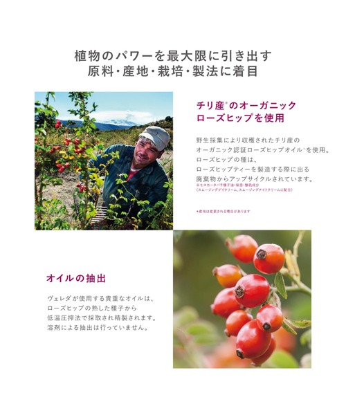 WELEDA(ヴェレダ)の「ヴェレダ ワイルドローズ スムージング ナイトクリーム 40ml(美容液/オイル/クリーム・レディース・その他・FREE)」の3枚目の写真
