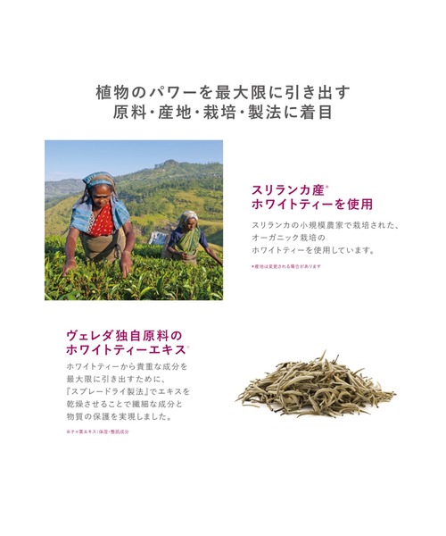 WELEDA(ヴェレダ)の「ヴェレダ ワイルドローズ スムージング ナイトクリーム 40ml(美容液/オイル/クリーム・レディース・その他・FREE)」の4枚目の写真