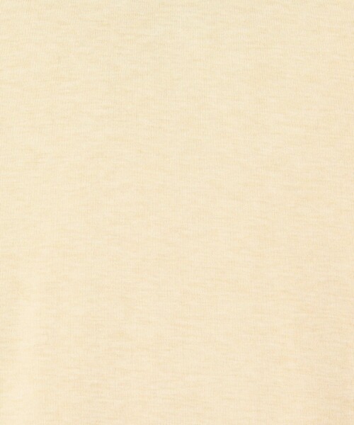 EDITION(エディション)の「コットンシルクフライス タートルネックトップ(Tシャツ/カットソー・レディース・ライトグレー/ホワイト/ライトベージュ・FREE)」の12枚目の写真