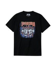 PANTERA Domination (BRENT2296)