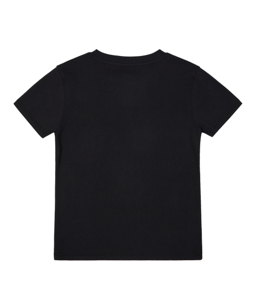 AAKAM(アーカム)の「Crack Henry Neck Half Top (Black)(Tシャツ/カットソー・レディース・その他・1/2)」の2枚目の写真