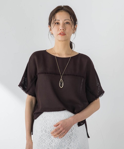 LAUTREAMONT(ロートレアモン)の「メッシュブラウス(シャツ/ブラウス・レディース・ブラウン/ベージュ系その他・9号)」の1枚目の写真