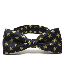 ADPOSION�i�A�h�|�[�V�����j�́u�y���{���z�X�^�[�� ���l�N�^�C�i���l�N�^�C�j�v