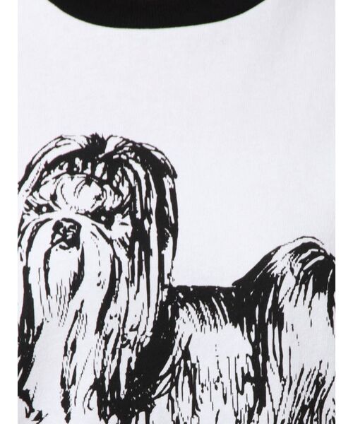 merry jenny（メリージェニー）の「リンガーterrier Tee（Tシャツ/カットソー・レディース・ブラック/オフホワイト・FREE）」の18枚目の写真