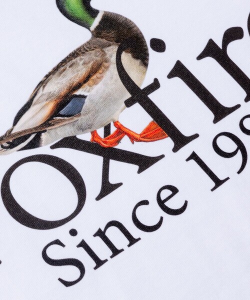 Foxfire（フォックスファイヤー）の「Foxfire/フォックスファイヤー 別注 Foxfire プリントクルーネック ロングスリーブTシャツ/カモ/バックプリント/リラックスフィット/10.5オンス（Tシャツ/カットソー・メンズ・ホワイト/チャコール/アッシュグレー・LARGE/MEDIUM）」の16枚目の写真