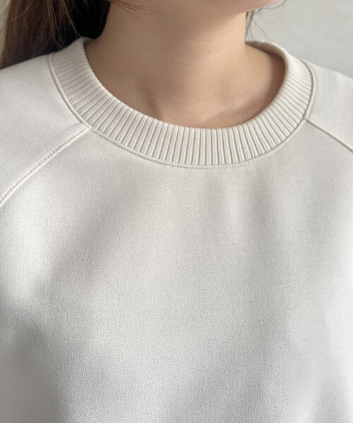 Chez toi（シェトワ）の「軽量ボンディングBACKZIPプルオーバー（Tシャツ/カットソー・レディース・ブラック/グリーン/アイボリー/モカ・FREE）」の18枚目の写真