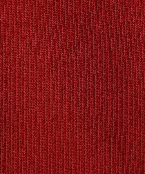 JAMES PERSE(ジェームスパース)の「YOSEMITEグラフィックプリント ドローストリングショーツ WQU4288SJ(スウェットパンツ・レディース・レッド・1/0)」の4枚目の写真