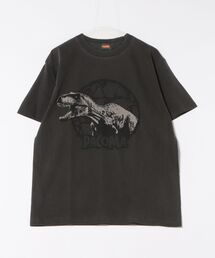 《PaCoMa/パコマ》Tyranno saurus TEE (ADULT)