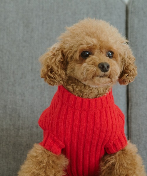 セール】【DOG】リブ切り替えニット/リンクコーデ（ペットウェア