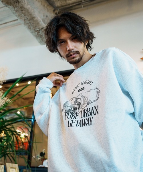 Leyline(レイライン)の「【Leyline】Good dog sweat(スウェット・メンズ・アッシュ/ベージュ・XL/L/M)」の5枚目の写真