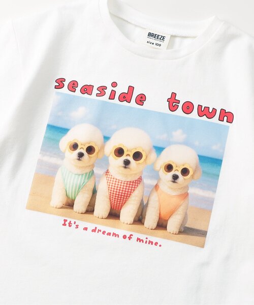 BREEZE(ブリーズ)の「バリエーションgirls半袖Tシャツ(Tシャツ/カットソー・キッズ・アイボリー/オフホワイト/ピンク/レッド/ラベンダー・90/140/100/120/130/80/110)」の21枚目の写真