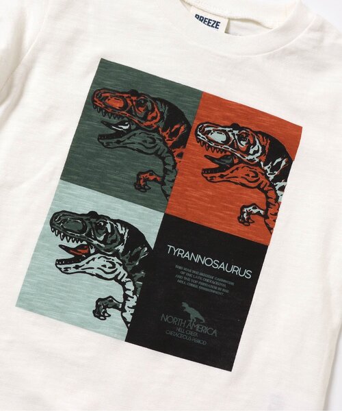 BREEZE（ブリーズ）の「カラフルボックスダイナソーTシャツ（Tシャツ/カットソー・キッズ・ブラック/オフホワイト・110/140/120/150/90/130/100）」の14枚目の写真