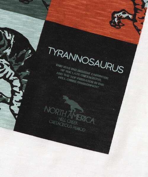 BREEZE（ブリーズ）の「カラフルボックスダイナソーTシャツ（Tシャツ/カットソー・キッズ・ブラック/オフホワイト・110/140/120/150/90/130/100）」の15枚目の写真