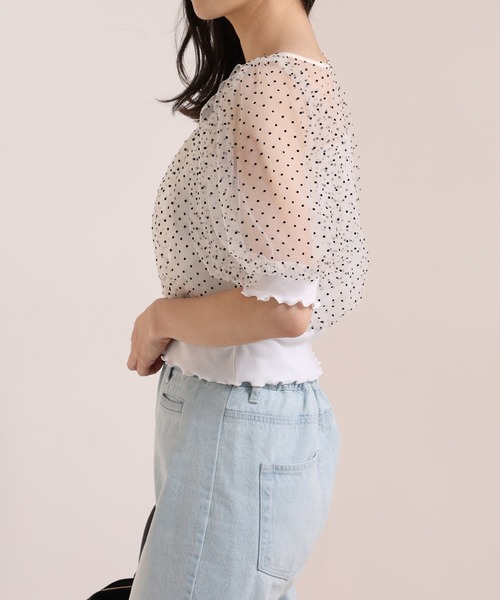 one after another NICE CLAUP（ワンアフターアナザーナイスクラップ）の「ドットチュールフェミニントップス（Tシャツ/カットソー・レディース・ホワイト系その他/ブラック系その他/ベージュ・FREE）」の7枚目の写真