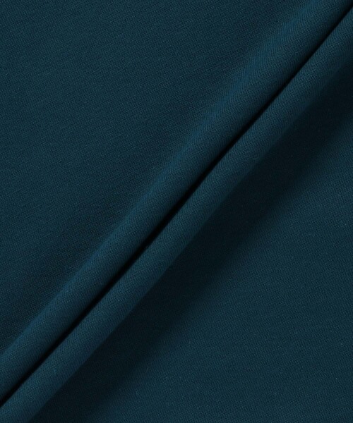 COLEMAN(コールマン)の「【Coleman別注】j.n.r.d/ ワゴンバックプリントスウェット(スウェット・メンズ・ネイビー/グリーン/グレー・M/L/LL)」の21枚目の写真