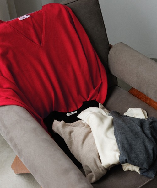 ウォッシャブルウールVネックプルオーバー（ニット/セーター）｜SALON