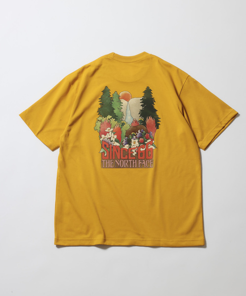 JOURNAL STANDARD relume(ジャーナルスタンダード レリューム)の「THE NORTH FACE ショートスリーブ ヨセミテ フォールズティー(Tシャツ/カットソー・メンズ・イエロー/ブラック/カーキ・MEDIUM/LARGE/X-LARGE)」の3枚目の写真