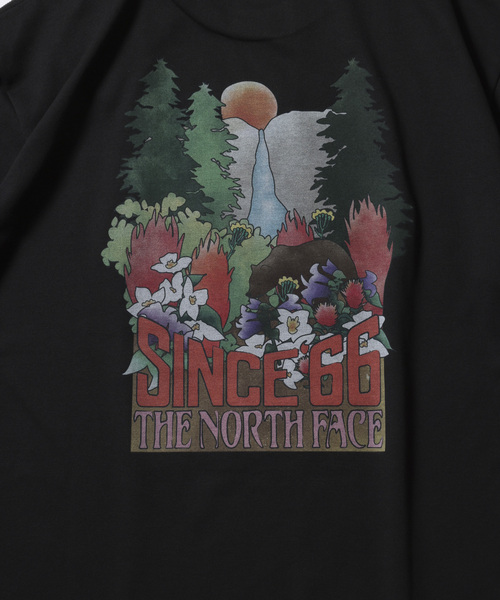 JOURNAL STANDARD relume(ジャーナルスタンダード レリューム)の「THE NORTH FACE ショートスリーブ ヨセミテ フォールズティー(Tシャツ/カットソー・メンズ・イエロー/ブラック/カーキ・MEDIUM/LARGE/X-LARGE)」の6枚目の写真