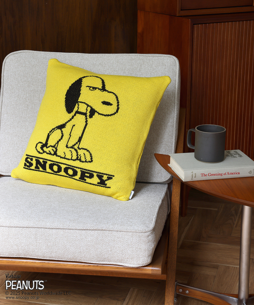 PEANUTS×SPORTS WEAR by JSF】別注 KNIT CUSHION クッションカバー