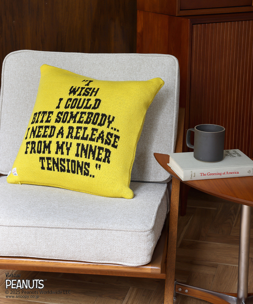 PEANUTS×SPORTS WEAR by JSF】別注 KNIT CUSHION クッションカバー